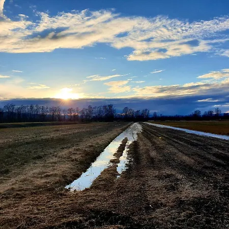 Barje I 卢布尔雅那