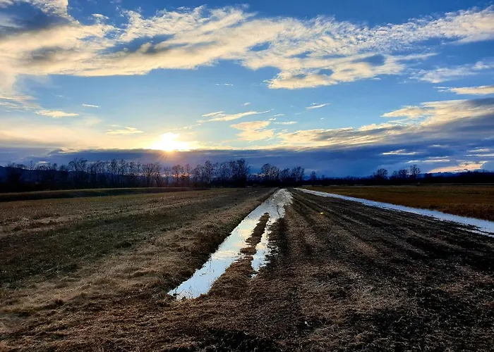 Barje I לובליאנה